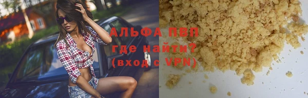 PSILOCYBIN Сафоново