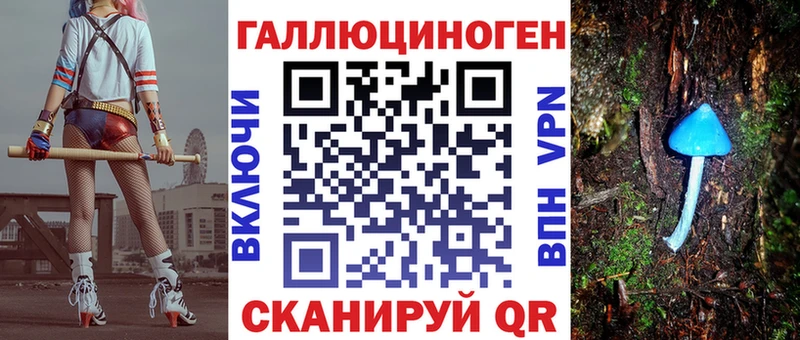 omg ССЫЛКА  Зерноград  Псилоцибиновые грибы Psilocybine cubensis  наркота 